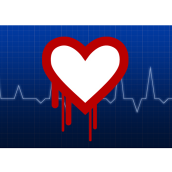 Heartbleed – what you need to know