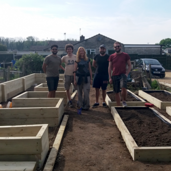 Volunteering on the allotment