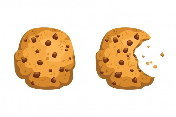 Cookies on websites in 2016