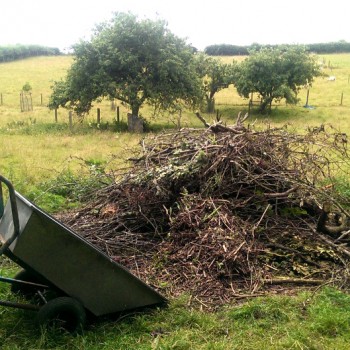 On the farm again: a good day's work